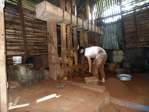 Lanjutan… Kopi di Kerintji